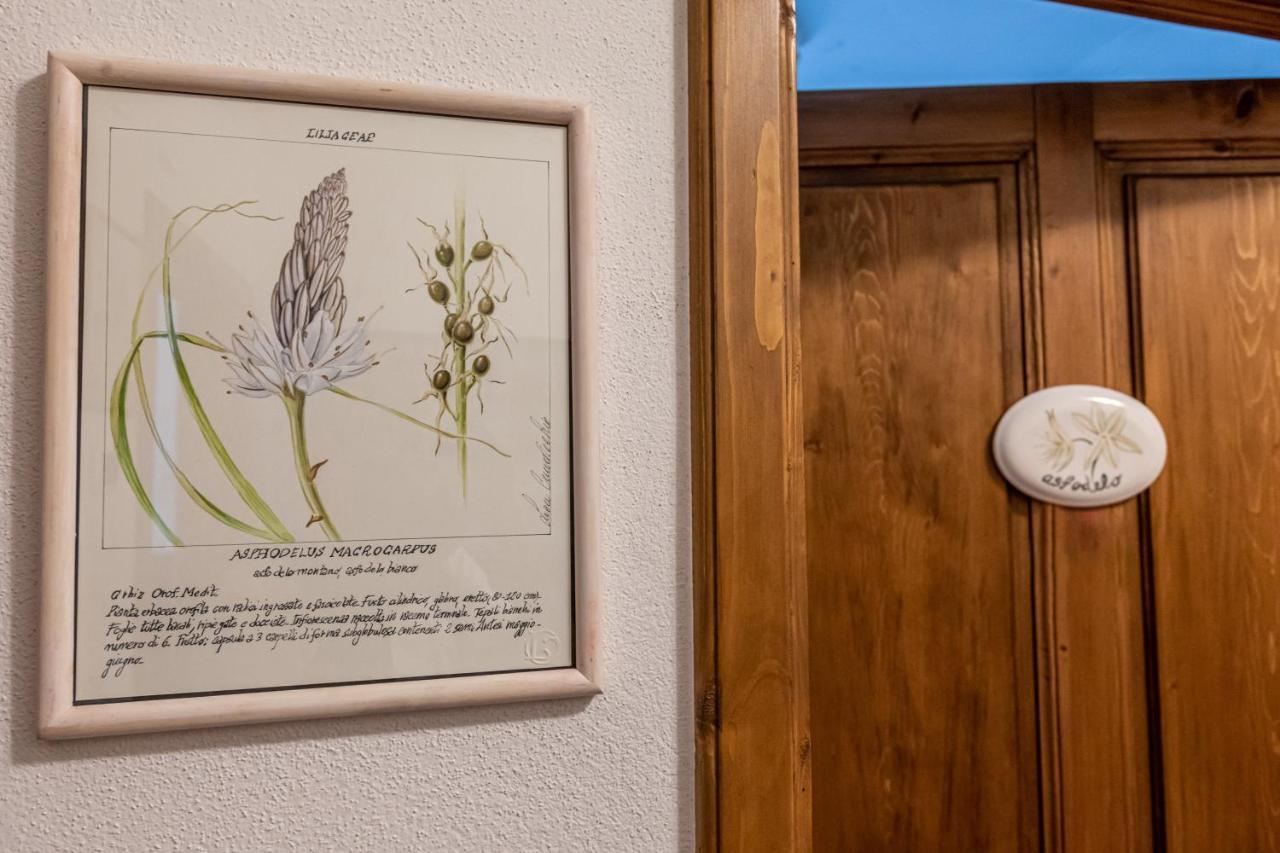 La Locanda Di Adele - Il Giardinetto B&B Scarperia Extérieur photo